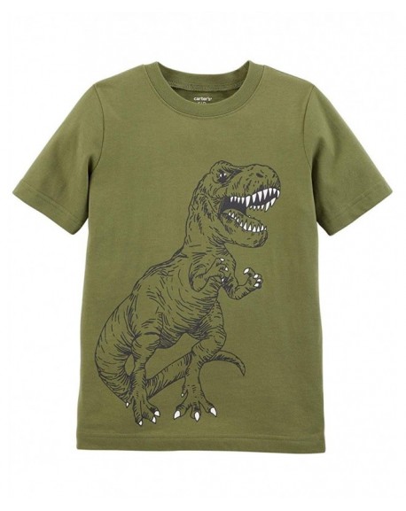 Boys' 2T-8 Short Sleeve Dinosaur Raglan Tee - Olive Green/T-rex ...