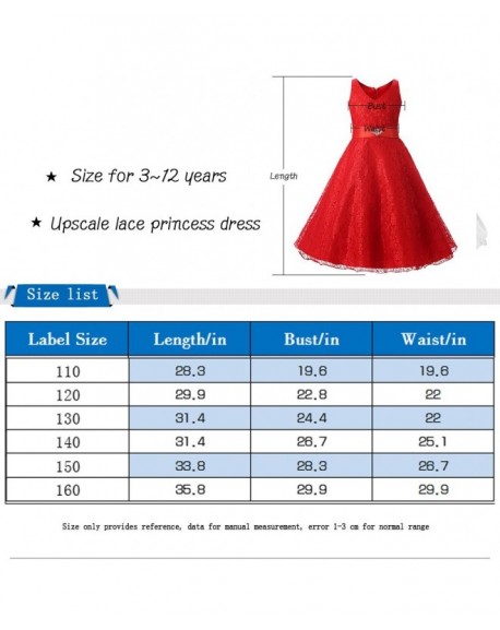 Kids Little/Big Girls Solid Princess Lace Dress V-Neck Flower Dress ...
