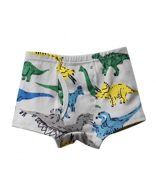 Boys Boxer Briefs Cotton Comfort Dinosaur Underwear for Kids 6 Pack - B ...