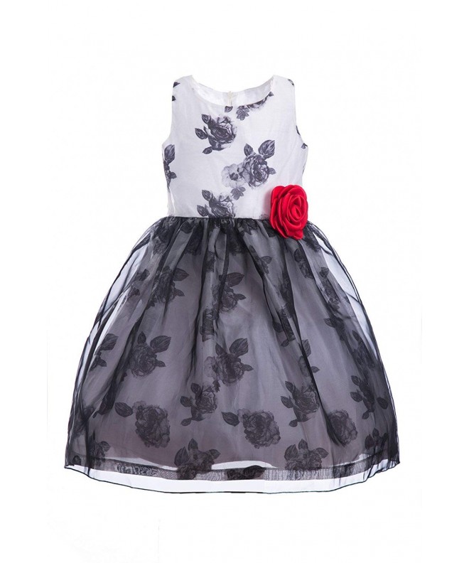 Girls' Sleeveless Printed Floral Tulle Princess Party Dress with ...