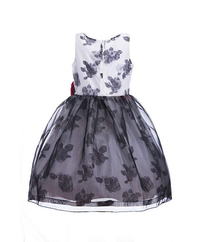 Girls' Sleeveless Printed Floral Tulle Princess Party Dress with ...