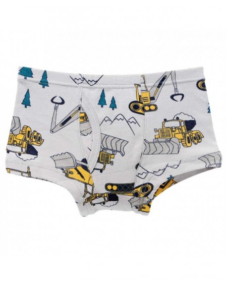 Kids Series Soft Toddler Cotton Brief Underwear Little Boys' Assorted ...