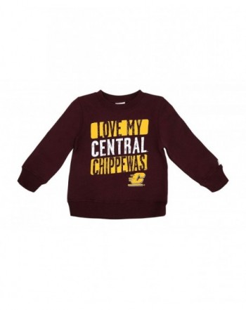 Central Michigan University Sweatshirt Maroon