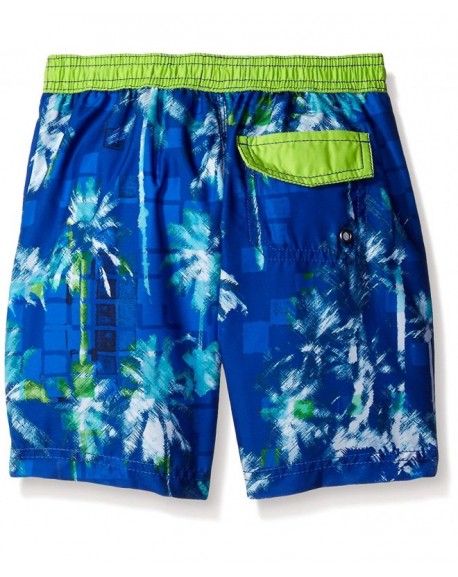 Boys' Palm Tree Swim Trunks - Blue - CU12CVBWG45