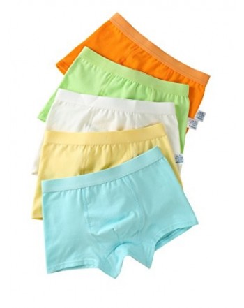 Organic Cotton Briefs Underwear 5 Pack