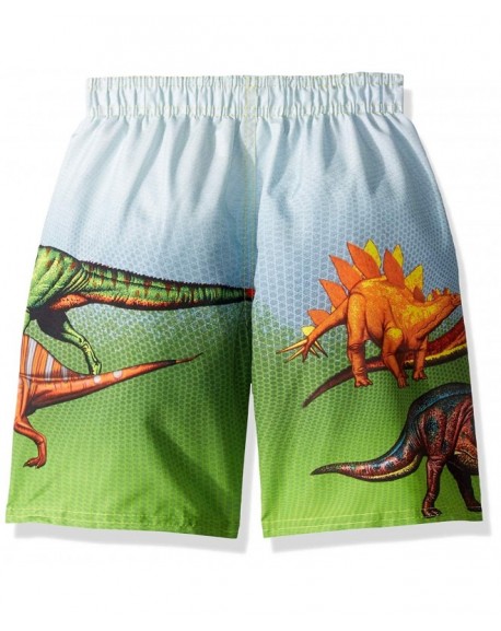 Boys' Dinosaur Swim Short - Green - CF189OIXKN3