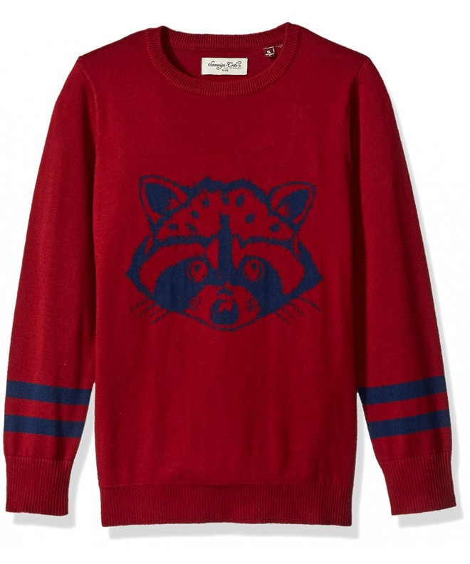 Boys' Racoon Printed Intarsia Sweater with Varsite Stripes On Sleeve ...