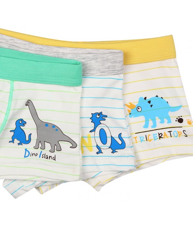 Little Boys Boxer Briefs Striped Dinosaur Cartoon Triceratops Print ...