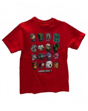 Minecraft Short Sleeve Graphic T Shirt